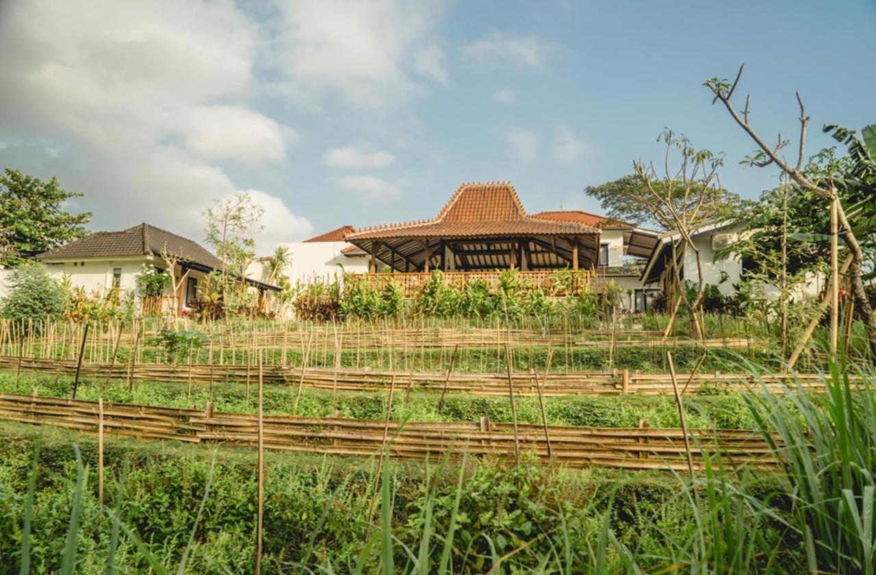 Canggu Villa & Cooking Retreat Экстерьер фото